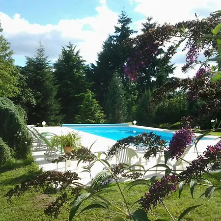 Maison rénovée avec piscine et jardin à Moulins - FR-1-489-324-3